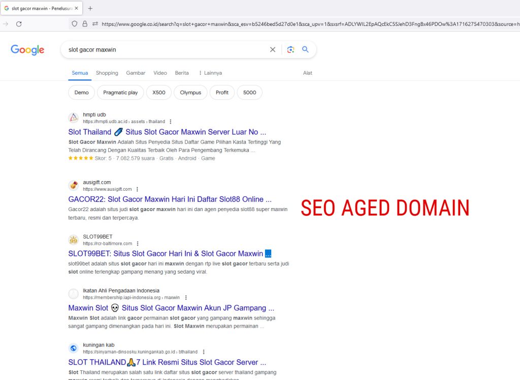 SEO Aged Domain Untuk Slot Online