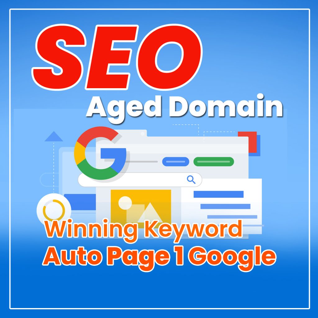 Jasa SEO Aged Domain